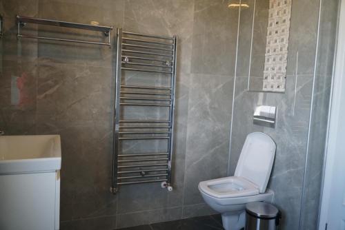 e bagno con servizi igienici e doccia. di Alpine Blu - Horezu - Varful lui Roman - Sauna, Hot Tub & Gym a Horezu