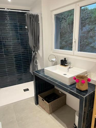 une salle de bain avec un lavabo et une douche dans l'établissement Gîte Traou Nod, à Pleudaniel