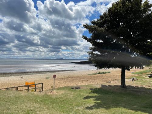 a tree on a beach with the ocean at 40 Main Street in Burntisland