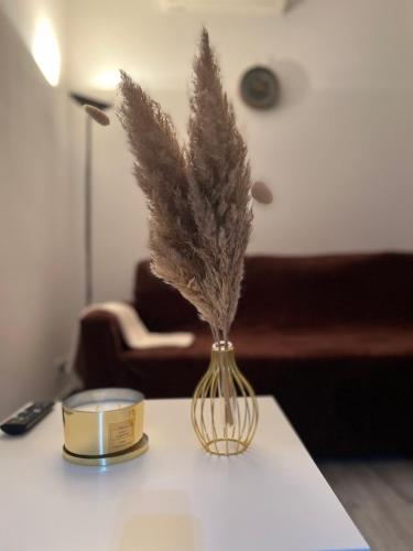 a vase with feathers in it sitting on a table at Teps home Airport Venice in Venice