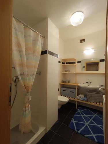 a bathroom with a toilet and a shower curtain at Ferienwohnung Marchnerhof in Terento
