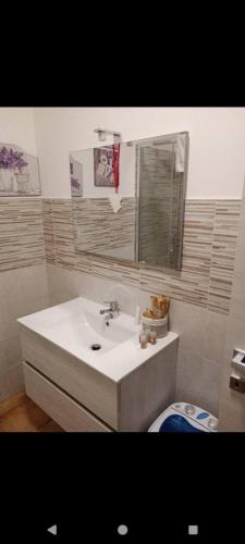 a bathroom with a white sink and a mirror at Marsila house in Camigliatello Silano