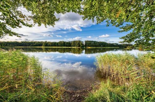 a view of a lake with trees and clouds in the sky at Inselzauber - 5 Sterne Ferienwohnung mit Blick auf den Malchower See in Malchow