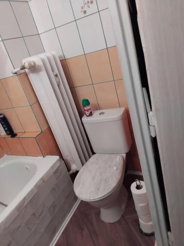 a small bathroom with a toilet and a sink at Timmy Apartment Ostrovni 4 Prague 1 in Prague