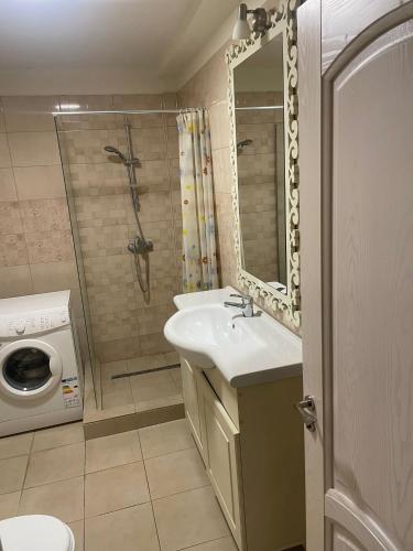 a bathroom with a sink and a shower and a washing machine at Strada calea unirii bloc 5 in Craiova