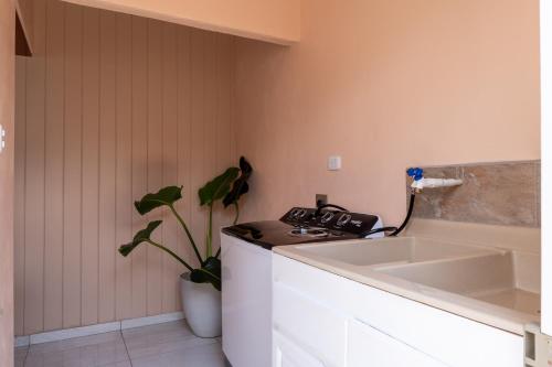 a kitchen with a stove and a sink and a plant at Villa Paz in San José