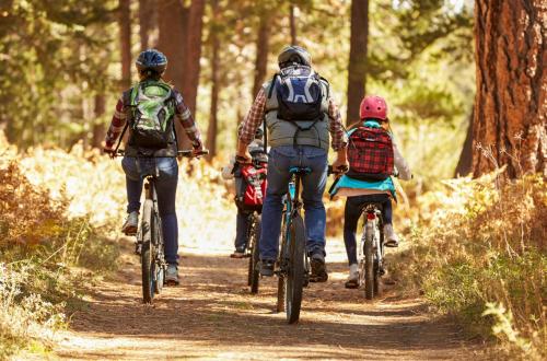 a group of people riding bikes down a trail at HafenDomizil Malchow - Wohnen am Wasser in Malchow
