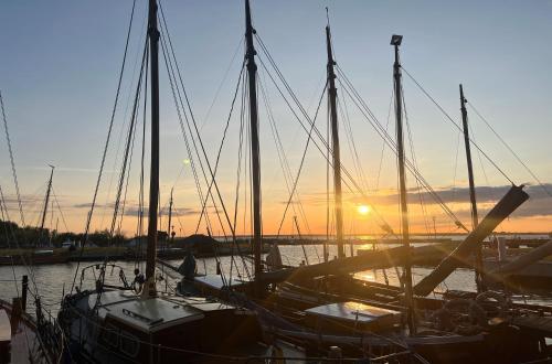 a group of boats docked in a marina at sunset at 5 Sterne Ferienhaus Ostseetraum - 50m zum Strand - Ladestation für E-Auto in Fuhlendorf