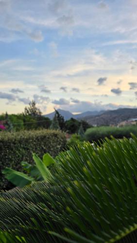 Φυσικό τοπίο κοντά σε αυτή η βίλα