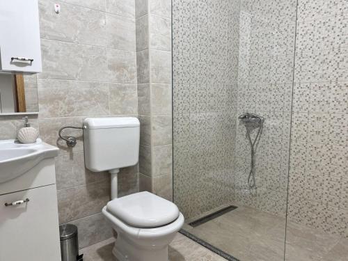 a bathroom with a toilet and a glass shower at Apartment Lola in Trebinje