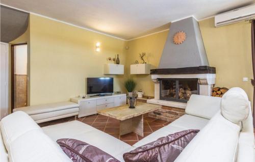 een woonkamer met een bank en een open haard bij Villa Celine Istria in Radetići