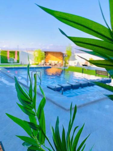 a large swimming pool with blue water and green plants at شالية ڤولانس - Volans Chalet VIP in Kirshah