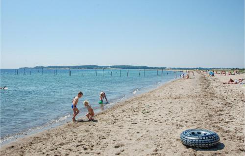 a group of people playing on the beach at Gorgeous Home In Haderslev With Wifi in Haderslev