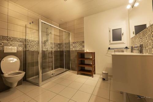 a bathroom with a shower and a toilet and a sink at Aux draps de foin in Bellefontaine