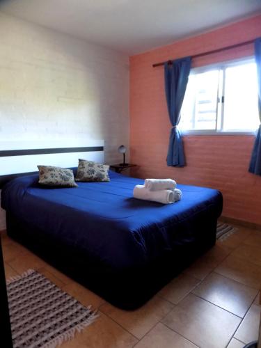a bedroom with a bed with blue sheets and a window at HoltFor in Potrero de los Funes