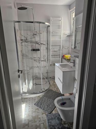 a bathroom with a shower and a toilet at visitor's house in Suceava