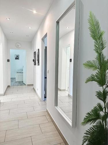 a hallway with a mirror and a palm tree at Moderne 3-Zimmer-Ferienwohnung bei Frankfurt - frisch renoviert, zentral gelegen und perfekt für Familien und Business-Trips in Egelsbach