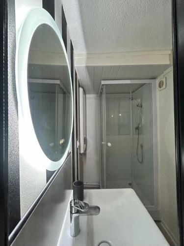 une salle de bain avec un lavabo, un miroir et une douche dans l'établissement Nancy Bricks Stan, à Nancy