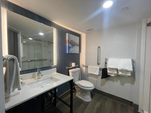 a bathroom with a sink and a toilet and a mirror at La Quinta by Wyndham Birmingham Homewood in Birmingham