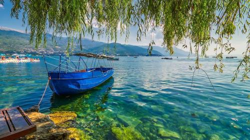 a blue boat in the water under a tree at Villa OHRID -"LAKE VIEW" in Ohrid