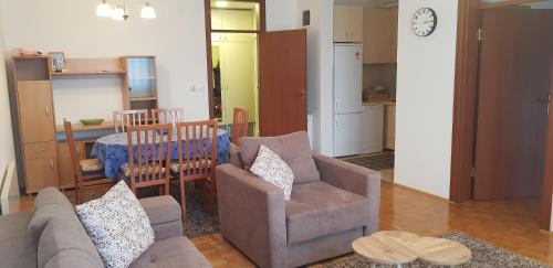 Kuhinja ili čajna kuhinja u objektu Apartman DivčiKom