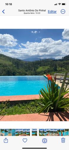 a picture of a pool with a plant in front of it at Pousada Vale das Araucárias in Santo Antônio do Pinhal