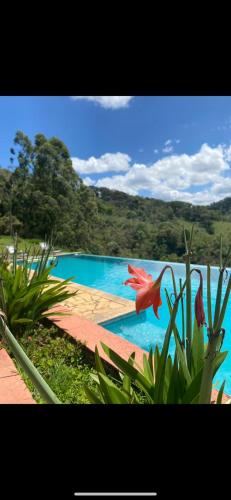 a blue swimming pool with a red flower in the foreground at Pousada Vale das Araucárias in Santo Antônio do Pinhal