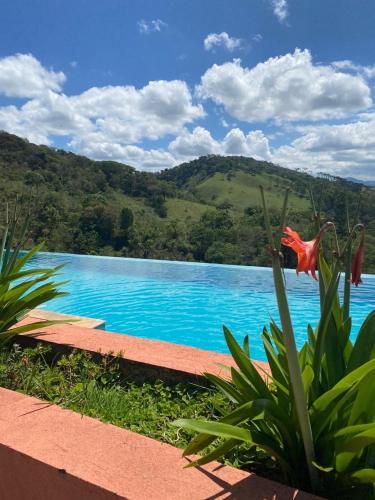 a blue pool with a red flower in the foreground at Pousada Vale das Araucárias in Santo Antônio do Pinhal