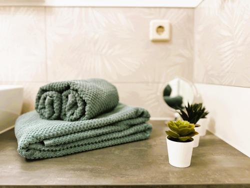 アイベンシュトックにあるGalerie-Ferienwohnung "Im Schindlershof" - zentral und ruhigのギャラリーの写真