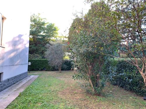 a small tree in a yard next to a building at LaZingarata in Gorgonzola