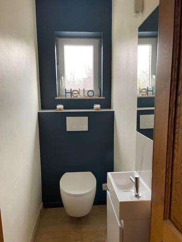 a blue bathroom with a toilet and a sink at Happiness at Vero in Verviers
