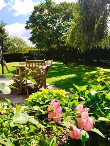 a bench and a table and flowers in a park at Happiness at Vero in Verviers