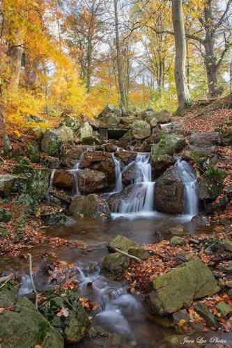 a stream of water with rocks in a forest at Happiness at Vero in Verviers