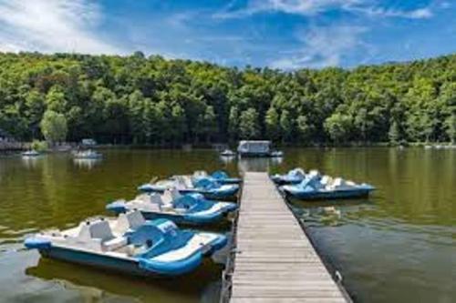 a group of boats parked at a dock on a lake at Happiness at Vero in Verviers
