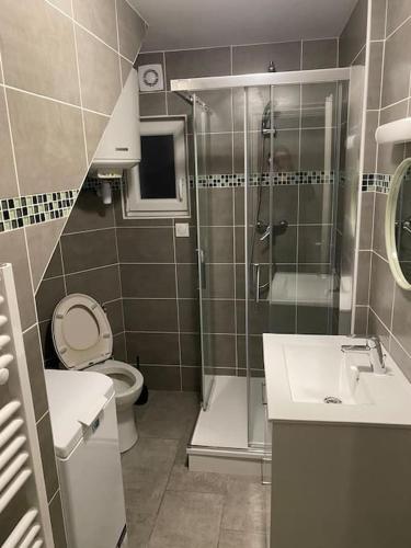 une salle de bain avec une douche, des toilettes et un lavabo dans l'établissement Appartement 8 - Hyper centre - 1 à 6 personnes, à Douai
