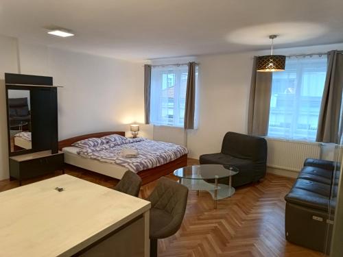 Apartment in the Center of OId Town