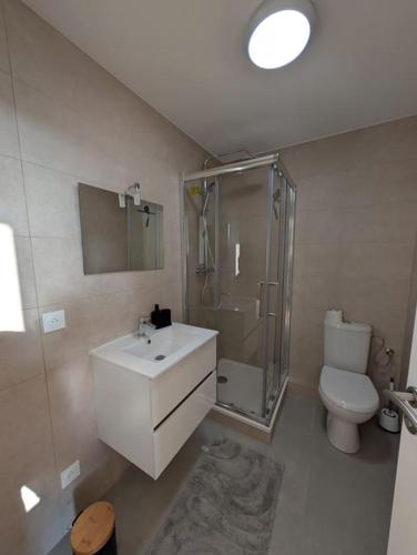 une salle de bain avec un lavabo, une douche et des toilettes dans l'établissement écrin de lumière à 10 min de l'hypercentre, à Strasbourg