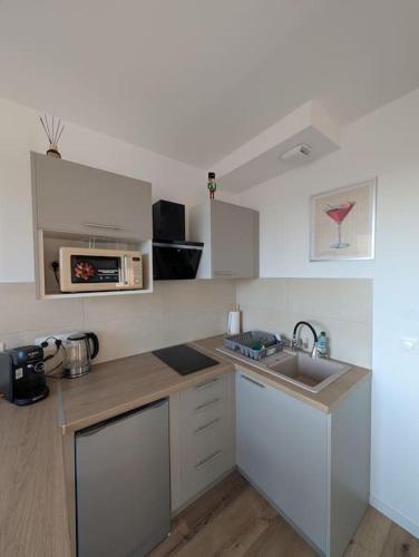 une petite cuisine avec un évier et un micro-ondes dans l'établissement écrin de lumière à 10 min de l'hypercentre, à Strasbourg