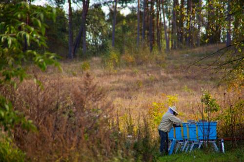 a man standing next to a blue object in a field at Domek w Zakątku Andrzeje Śniczany 18 in Sidra