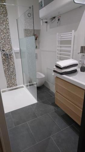 une salle de bain avec une douche, un lavabo et des toilettes dans l'établissement Maison cosy calme jardin privatif 10mn de la plage, à Frontignan