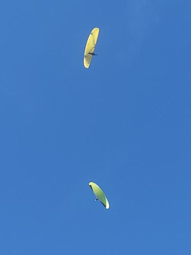two butterflies flying in the blue sky at Appartamento Regina in Borso del Grappa