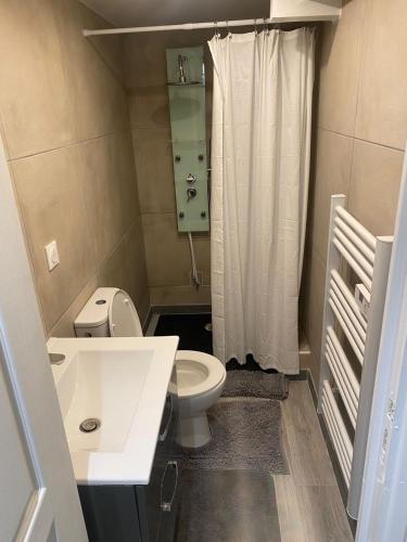 une petite salle de bain avec toilettes et douche dans l'établissement Auxilia Home, à Beauchamp