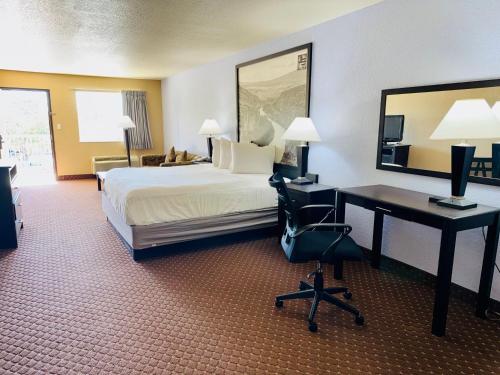 a hotel room with a bed and a desk at Hill Country Inn & Suites - New Braunfels, Gruene in New Braunfels