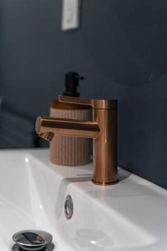 - un robinet de salle de bains en bronze au-dessus d'un lavabo dans l'établissement Cocon clermontois - Moderne et cosy, à Clermont-Ferrand