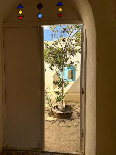 an open door with a tree in a room at Khan tunis villa in Tunis