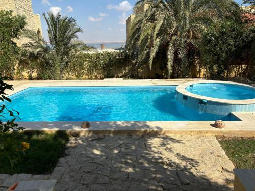 a swimming pool in a yard with palm trees at Khan tunis villa in Tunis