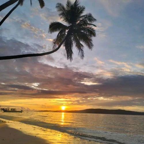 a palm tree on a beach with a sunset at Intum Homestay in Kri