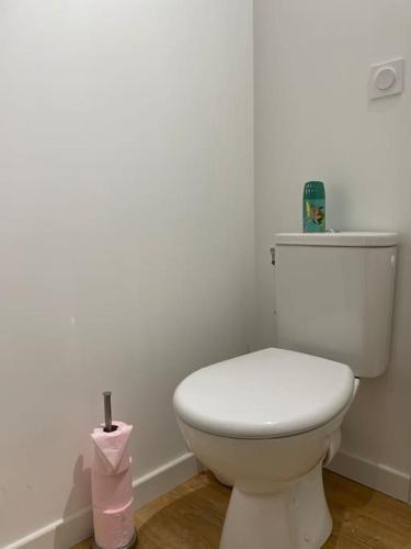a bathroom with a white toilet in a room at Duplex le Brooklyn en Plein centre de Mordelles in Mordelles