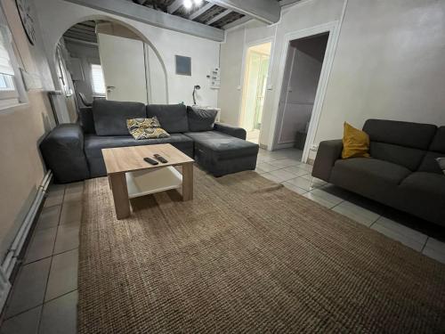 un salon avec un canapé et une table basse dans l'établissement Appartement de charme 40m2 proche Centre Hospitalier Valenciennes, à Valenciennes