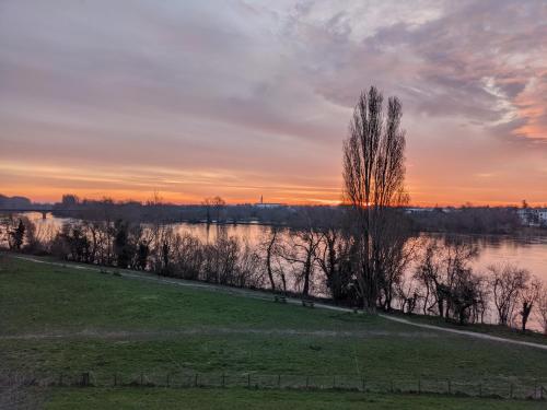 un coucher de soleil sur une rivière avec des arbres et un champ dans l'établissement Appartement vue Loire, à Nantes